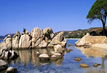 信息技术的发展与现代信息技术原理